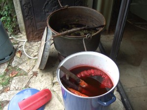 vu de deux marmites avec deux bains différents : un chaudron d'orties et une marmitte avec du bois de Brésil