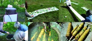 plusieurs images où l'on découvre le premier atelier Vert Soi de mapie des vignes, éco-artiste, plasticienne textile travaillant avec l'empreinte végétale.