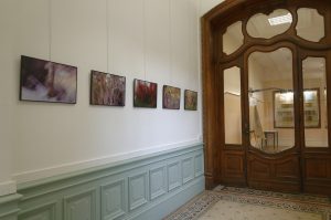 exposition Shinrin-Yoku de mapie des vignes et Helena Sellergren."À la lueur des saisons" - photographies 35X53 cm : Philippe Cadu