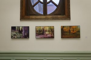 exposition Shinrin-Yoku de mapie des vignes et helena sellergren.