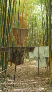 exposition Shinrin-Yoku de mapie des vignes et helena sellergren.kimonos "Sous Bois", "Poésie d'Automne", "Coeur d'Automne"
