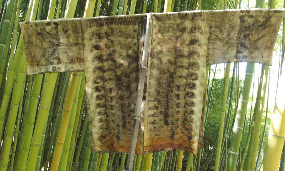 exposition Shinrin-Yoku de mapie des vignes et helena sellergren.kimono "Sous Bois" empreintes végétales sur soie