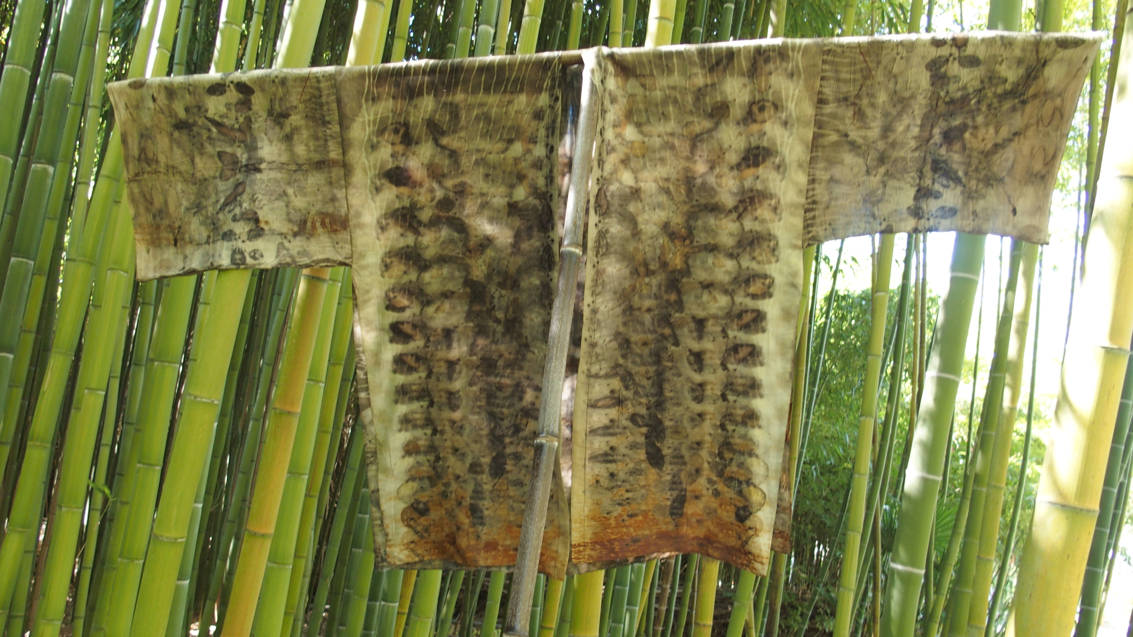 exposition Shinrin-Yoku de mapie des vignes et helena sellergren.kimono "Sous Bois" empreintes végétales sur soie