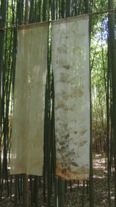 exposition Shinrin-Yoku de mapie des vignes et helena sellergren.kakemonos, voile de coton et coton, empreintes de feuilles de ronces, d'eucalyptus, ... sérigraphie