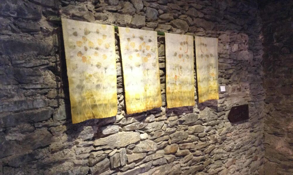 Printemps - Automne par mapie des vignes à l'exposition du Château de Lacaze - juillet 2020